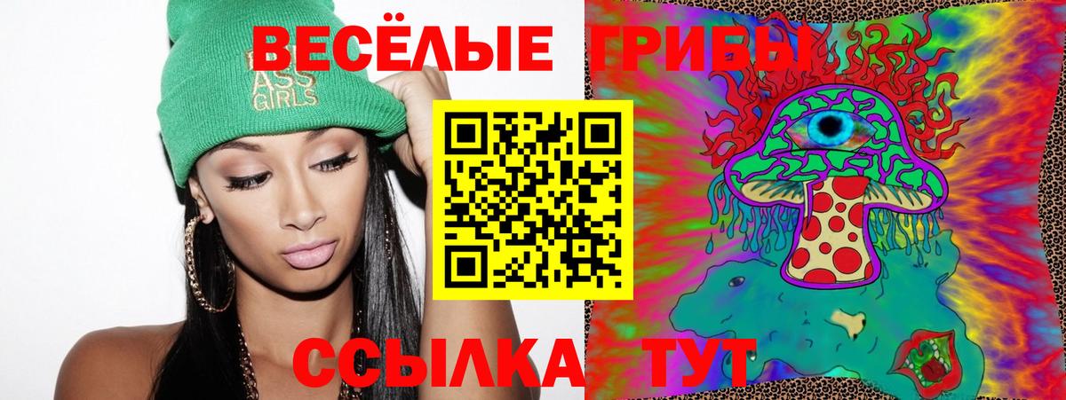 Галлюциногенные грибы MAGIC MUSHROOMS  Вход с VPN  Псилоцибиновые грибы GOLDEN TEACHER  Нерюнгри 